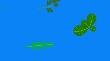 Sebze elementleri animasyon kroma anahtar arkaplan çıkarılabilir, dikişsiz döngü