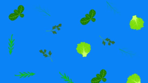 Elementos Vegetales Animación Croma Key Fondo Extraíble Bucle Sin Costuras — Vídeo de stock