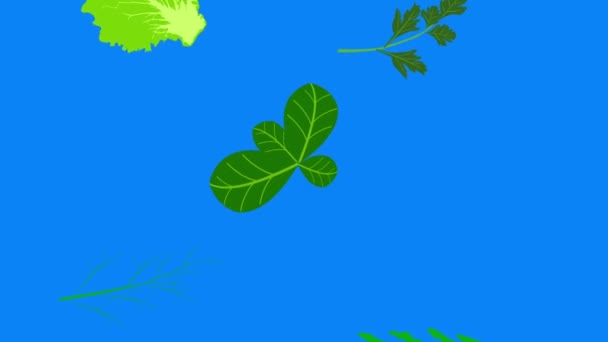 Grönsaker Element Animation Kroma Nyckel Bakgrund Löstagbar Sömlös Loop — Stockvideo