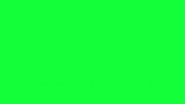 Güzel güller çiçekler animasyon, krom anahtar kullanılarak çıkarılabilir arkaplan