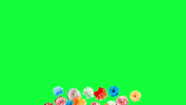 Belles roses fleurs animation, fond amovible en utilisant la touche chroma