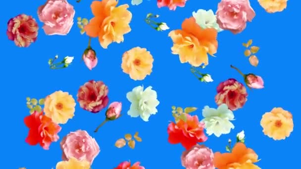 Hermosas Rosas Flores Animación Fondo Extraíble Usando Croma Key Lazo — Vídeo de stock
