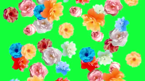 Beautiful Roses Flowers Animation Removable Background Using Chroma Key Seamless — Stock Video