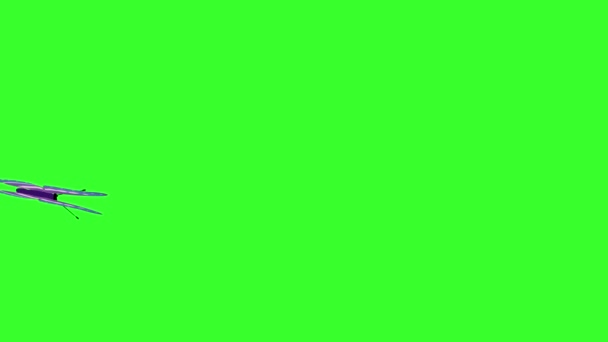 Animatie Kleurrijke Schoonheid Vlinder Groen Scherm Chroma Sleutel — Stockvideo
