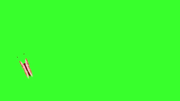 Animated Colorful Beauty Butterfly Green Screen Chroma Key — Stock Video