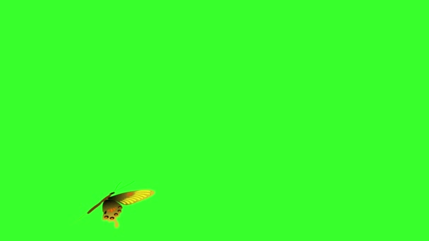 Κινούμενα Πολύχρωμα Πεταλούδα Ομορφιά Πράσινο Χρώμα Οθόνη Κλειδί — Αρχείο Βίντεο