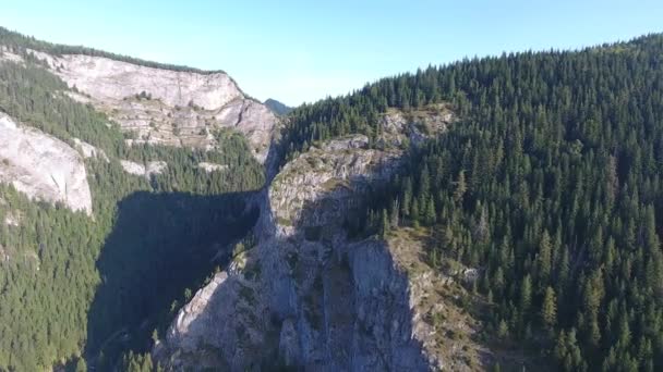 Aerial View Montains Red Lake Area Bicaz Romania Summer Time — Stock Video