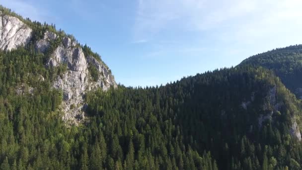 Aerial View Montains Red Lake Area Bicaz Romania Summer Time — Stock Video
