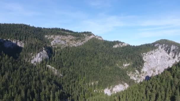 Vista Aérea Montains Área Lago Vermelho Bicaz Romênia Hora Verão — Vídeo de Stock