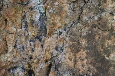 Kaya dokusu ya da arka plan, doğa, dağlardan çekilmiş.