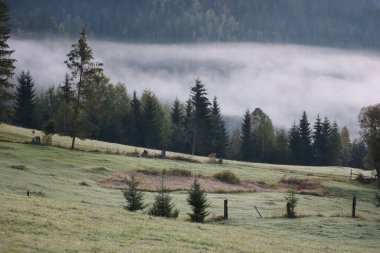 Karpatlar 'da sabah sisi, manzara, Kızıl Göl bölgesi, Romanya