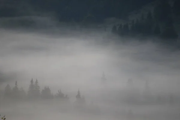 Ranní Mlha Karpatech Krajina Oblast Rudého Jezera Rumunsko — Stock fotografie