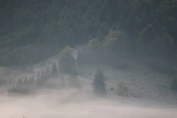 Morning Fog Carpathians Mountains Landscape Red Lake Area Romania — Stock Photo, Image