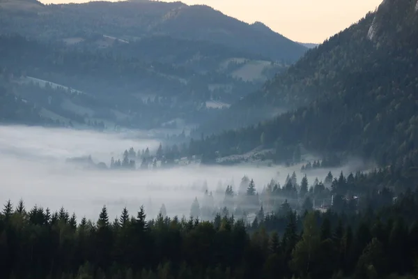 Ranní Mlha Karpatech Krajina Oblast Rudého Jezera Rumunsko — Stock fotografie