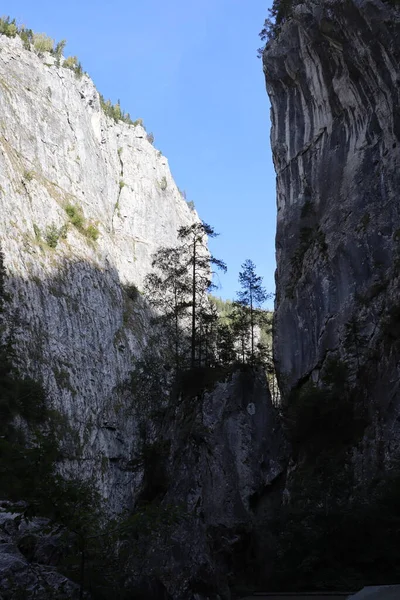 Piedra Montañosa Los Cárpatos Rumania Bicaz Chei Bosque Pinos — Foto de Stock