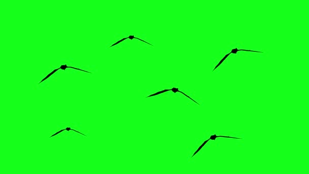 用绿色屏幕彩色键在各元素之间飞行的飞鼠的轮廓 — 图库视频影像