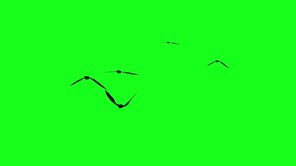 Siluety Flitter Mouse Létání Zelené Obrazovce Chroma Key Halloween Prvky — Stock video