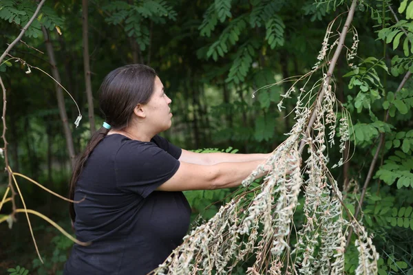 Kırsal kesimde kadınlar günlük aktiviteler, doğa işleri ev işleri.