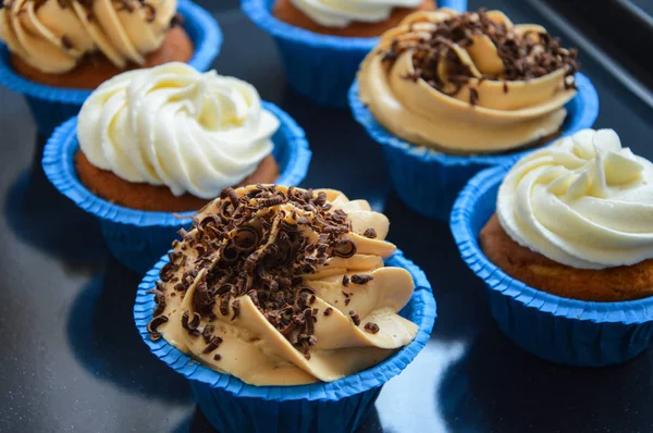 cupcakes in blue molds capsules with different creams