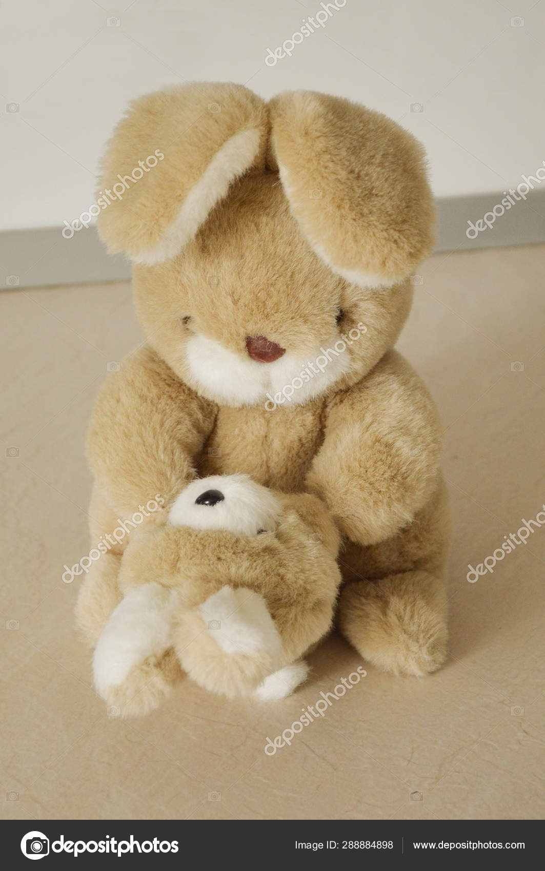 teddy bunny