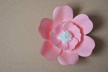 kağıt çiçekler. iç dekor. iç duvarların dekorasyonu. kağıt dekor. iç çiçekler. büyük çiçeklerile dekorasyon.