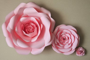 kağıt çiçekler. iç dekor. iç duvarların dekorasyonu. kağıt dekor. iç çiçekler. büyük çiçeklerile dekorasyon.