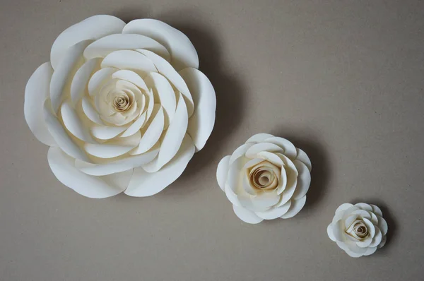 paper flowers. interior decor. the decoration of the walls of the interior. paper decor. flowers in interior. decoration with large flowers.