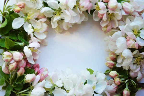 Beyaz çiçek. Çiçekli elma ağacı. Dekorasyon ve arka plan için beyaz bir buket çiçek aranjmanı.. 