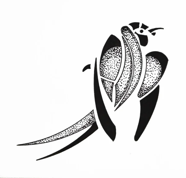 Rysunek Graficzny Wariant Tatuażu Ptaka Jaskółka Narysowana Ołówkiem Atramentem — Zdjęcie stockowe