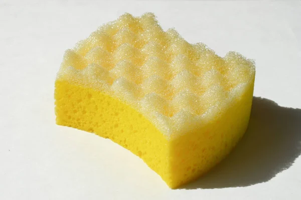 Foam Sponge Washing White Background — Stock Photo, Image