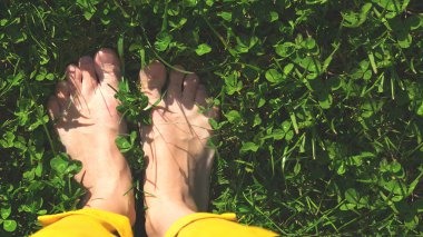 yeşil çim bahar ayaklarda