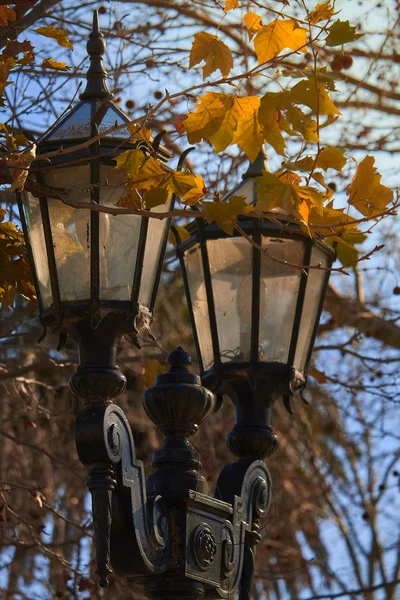 Detalhe Detalhe Velhas Lanternas Parque Com Folhas Ramos Árvore Dia — Fotografia de Stock
