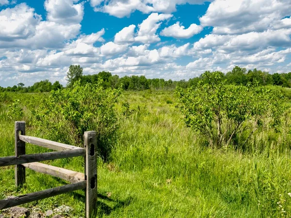 Ohio 'daki Mill Creek Wetlands' ta güzel bir yaz gününde ön planda ahşap bir çit ve arka planda açık mavi ve bulutlu bir gökyüzü olan yeşil alanlar..