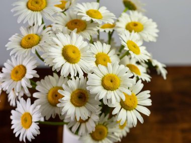 Bir vazoda taze kesilmiş papatya çiçekleri altında kesme tahtası ve arkasında beyaz bir duvar var. Dışarıdan çiçekler, natürmort fotoğraf için içeri getirilir..