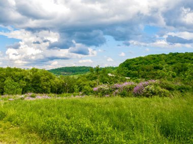Pittsburgh yakınlarındaki güneybatı Pennsylvania 'da yeşil tepeler ve tarlalar. Arka planda beyaz bulutlarla dolu açık mavi bir gökyüzü. Güzel kırsal doğa manzarası.