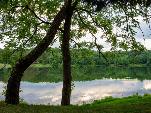 West Moreland County, Pennsylvania 'daki Laurel Highlands' daki Twin Lakes Park 'ta. Göl manzaralı güzel bir fotoğraf ve sudaki ağaçların yansıması ve ön planda iki ağaç..