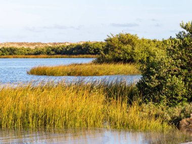 St. Augustine, Florida 'daki Anastasia Eyalet Parkı' nda altın saat, su, çimen ve ağaçlarla dolu güzel bir doğa manzarası..