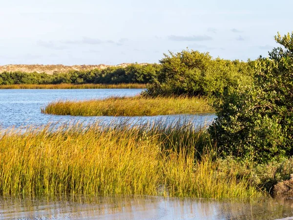 St. Augustine, Florida 'daki Anastasia Eyalet Parkı' nda altın saat, su, çimen ve ağaçlarla dolu güzel bir doğa manzarası..