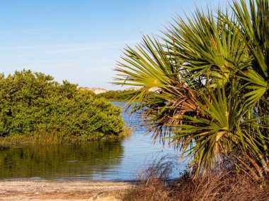Water scene with palm trees and smooth blue sky in Anastasia State Park in St. Augustine, Florida right before sunset! clipart
