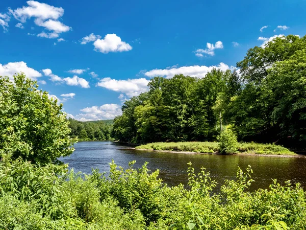 Pennsylvania 'daki Cook Ormanı Parkı' ndaki Clarion Nehri 'nde yeşil ağaçlar ve beyaz bulutlarla dolu parlak mavi bir gökyüzü var. Manzaralı doğa fotoğrafı..
