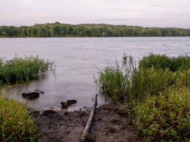 Güneybatı Pennsylvania 'daki Wilhelm Gölü' ndeki su manzarası..