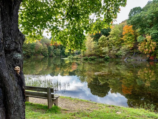 Schöne Herbstlandschaft Mit Bäumen Die Sich Einem See Spiegeln Und — Stockfoto