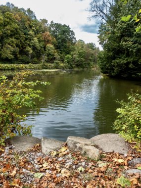 Batı Virginia 'daki Tomlinson Run State Parkı, ön planda düşen sonbahar yaprakları ve kayalıkları olan su sahnesi sonra yansımalı su sizi ağaçlar ve bulutlu gökyüzü sahnesine götürüyor..