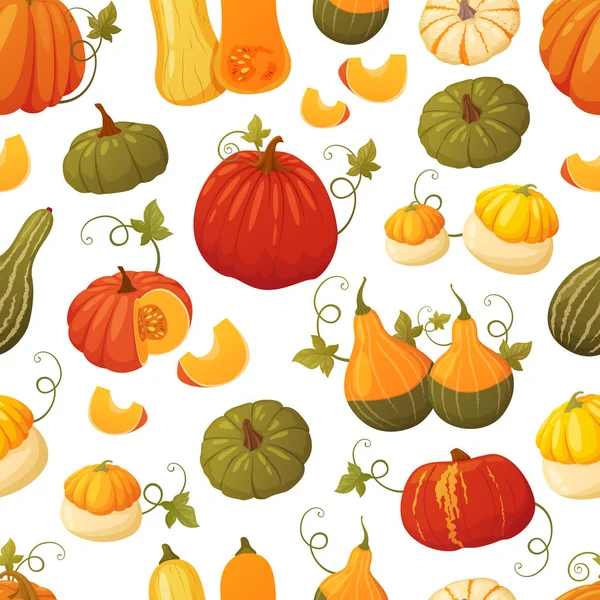 Colorful pumpkin pattern — Stock Vector