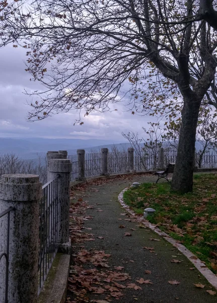 Alley Park Autumn Distant Panorama — Stock Photo, Image