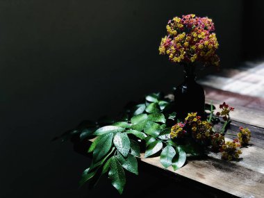 güzel Lantana camara veya bez karanlık cam şişe ve ahşap masa taze ıslak yeşil yapraklar altın çiçek  