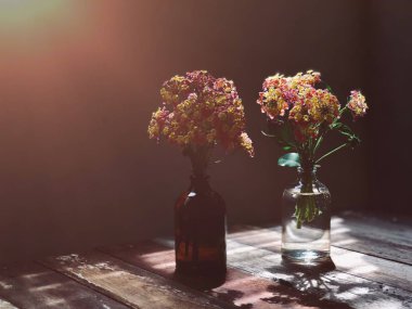 bitkiler üzerinde rustik ahşap masa ışığında şişe