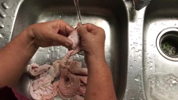 亚洲妇女老人的手准备早餐的食物 用海盐和水清洗猪肠或上面的小狗 盐用于清洁鱼味和粘液 — 图库视频影像