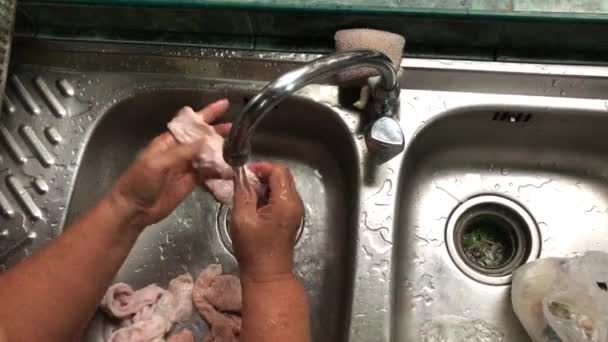 Hand Asian Woman Elderly Preparing Food Breakfast Cleaning Pork Intestines — Stock Video