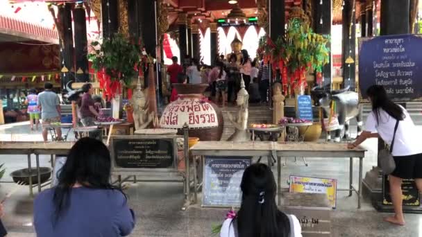 Personas Anónimas Turistas Adoran Rezan Auspiciosidad Día Santo Gran Buddha — Vídeo de stock